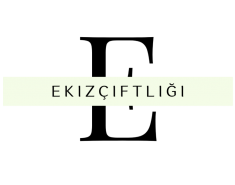 Ekz Group